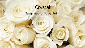  Presentation with cream - Beautiful presentation theme featuring cream roses backdrop and a lemonade colored foreground