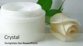  Presentation with face cream flower - PPT theme with dollars on the financial report background and a light gray colored foreground.