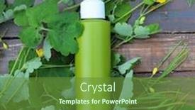  Presentation with herb - Slide set enhanced with cream-with-celandine-herb-mockup background and a tawny brown colored foreground