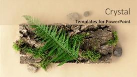  Presentation with nature design - PPT theme with creative-composition-for-design background and a coral colored foreground