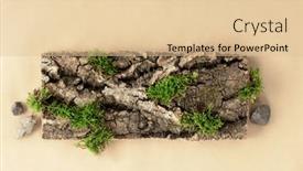  Presentation with nature design - PPT layouts enhanced with creative-composition-for-design background and a lemonade colored foreground