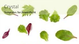 Presentation with leaves flat lay - PPT theme with creative layout made of salad background and a blonde colored foreground