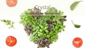  Presentation with leaves flat lay - Beautiful presentation featuring creative-layout-made-of-tomato backdrop and a cream colored foreground