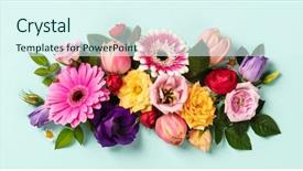  Presentation with creative - Slide deck with creative layout made with beautiful background and a sky blue colored foreground