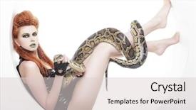  Presentation with python - Presentation theme featuring creative make up holding python background and a light gray colored foreground