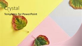  Presentation with fall color - Presentation theme enhanced with creative-minimal-autumn-concept-autumn background and a yellow colored foreground