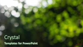  Presentation with blurred bokeh - Slide deck consisting of creative-natural-green-blurred-bokeh background and a tawny brown colored foreground