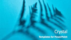  Presentation with fern - Audience pleasing theme consisting of creative photo as a layout backdrop and a teal colored foreground