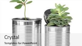  Presentation with growing - Slide set with containers for growing plant background and a light gray colored foreground