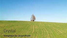  Presentation with clean house - PPT layouts enhanced with creative-rural-landscape-with-alone background and a gold colored foreground