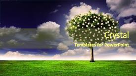  Presentation with thoughts - Beautiful PPT theme featuring creative thinking - tree of thoughts backdrop and a tawny brown colored foreground