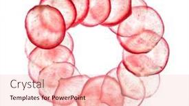  Presentation with white healthy food - Cool new slide set with creative-vegetable-round-frame backdrop and a lemonade colored foreground