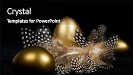  Presentation with birds - PPT theme enhanced with creatively lit golden goose eggs background and a black colored foreground