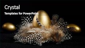  Presentation with birds - Amazing slides having creatively lit golden goose eggs backdrop and a black colored foreground