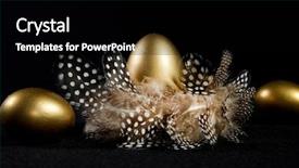  Presentation with black and gold - Theme consisting of creatively lit golden goose eggs background and a black colored foreground
