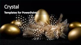  Presentation with black and gold sparkle - PPT theme having creatively lit golden goose eggs background and a black colored foreground