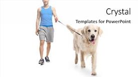  Presentation with sportswear - Colorful PPT theme enhanced with creatures - full length portrait backdrop and a white colored foreground