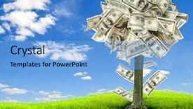  Presentation with money tree - Audience pleasing presentation theme consisting of still life of belgian biscuit backdrop and a dark gray colored foreground