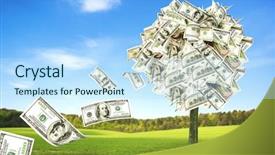  Presentation with money tree - Colorful slide set enhanced with credit agricole - money tree growing backdrop and a sky blue colored foreground