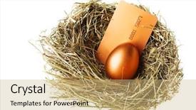  Presentation with gold egg - PPT theme consisting of credit card in nest background and a coral colored foreground
