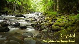  Presentation with river - Audience pleasing presentation design consisting of creek - mountain river in the wood backdrop and a tawny brown colored foreground