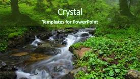  Presentation with woods - Presentation having creek in the woods background and a tawny brown colored foreground