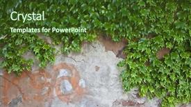 Presentation with energy consumption in cement industry - Presentation with creep concrete - cement wall covered in ivy background and a tawny brown colored foreground