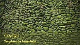  Presentation with moss - Presentation design having creep concrete - moss on stone wall background and a tawny brown colored foreground