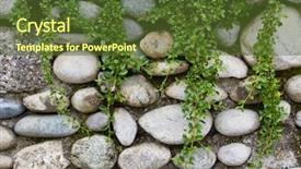  Presentation with rock wall - PPT theme having creep concrete - plant on rock stone wall background and a tawny brown colored foreground