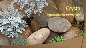  Presentation with rock stone - Presentation design having creep concrete - plant on rock stone background and a tawny brown colored foreground