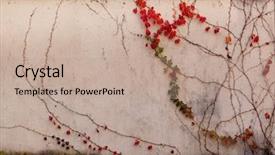  Presentation with multicolored autumn leaves orange yellow red - Presentation featuring creep concrete - red autumn leaves creeping across background and a coral colored foreground