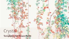  Presentation with vine - Cool new slide deck with creeper-leaves-on-the-wall backdrop and a lemonade colored foreground