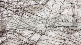  Presentation with stone - PPT layouts having creeper-on-stone-wall-abstract background and a light gray colored foreground