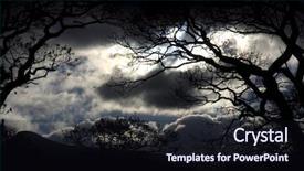  Presentation with scenic - Audience pleasing PPT theme consisting of creepy forest - scenic view of storm clouds backdrop and a wine colored foreground