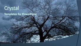  Presentation with creepy forest - Presentation theme with creepy forest - silhouetted tree background and a  colored foreground