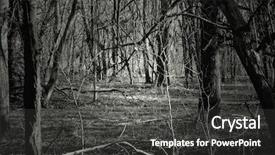  Presentation with creepy forest - Colorful slide set enhanced with creepy forest at night great backdrop and a dark gray colored foreground