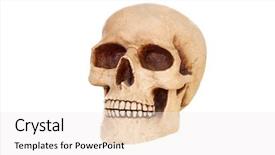  Presentation with creepy - Colorful PPT theme enhanced with creepy human skull backdrop and a white colored foreground