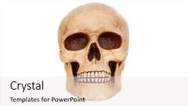  Presentation with human body - Slide deck enhanced with creepy human skull background and a sky blue colored foreground