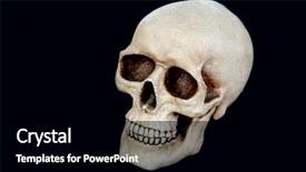  Presentation with human body - Audience pleasing theme consisting of creepy human skull backdrop and a black colored foreground