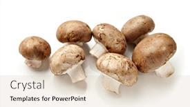  Presentation with brown sugar isolated on white - Theme featuring cremini mushrooms isolated on white background and a lemonade colored foreground