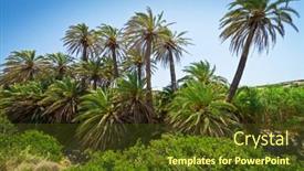  Presentation with date palm - Presentation theme enhanced with cretan-date-palm-trees background and a tawny brown colored foreground