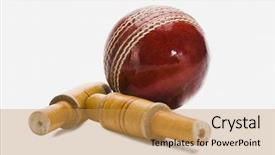  Presentation with cricket - Presentation theme having cricket ball and bail background and a yellow colored foreground