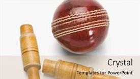 Presentation with cricket - Amazing presentation theme having cricket ball and bail backdrop and a coral colored foreground