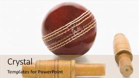  Presentation with cricket - PPT theme with cricket ball and bail background and a coral colored foreground
