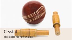  Presentation with cricket - Slides featuring cricket ball and bail background and a coral colored foreground