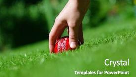  Presentation with cricket - Cool new presentation design with cricket ball on the grass backdrop and a tawny brown colored foreground