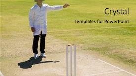  Presentation with cricket - Cool new theme with cricket umpire signalling no ball backdrop and a yellow colored foreground