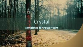  Presentation with crime scene - PPT theme with crime-scene-in-the-woods background and a ocean colored foreground