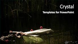  Presentation with crime scene - Beautiful slides featuring crime scene murder - young drown woman backdrop and a black colored foreground