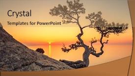  Presentation with medical instruments engineering - Cool new slides with crimea - instruments for installing laminate floor backdrop and a coral colored foreground